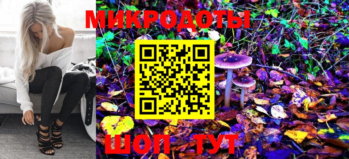 Псилоцибиновые грибы Psilocybe  Псилоцибиновые грибы GOLDEN TEACHER  Вход с VPN  Мурино 