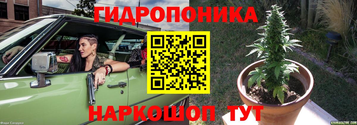 Шишки марихуана SATIVA & INDICA  Вход с VPN  Мурино  МАРИХУАНА марихуана  Канабис планчик 